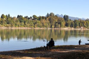 Derby Reach, looking to Maple Ridge