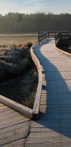 Burnaby Lake Park. Photo by Jeremy Plotkin taken from the 2011 Metro Vancouver parks plan