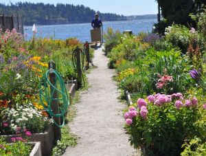 A community garden, Mr. Smarz and his new painting
