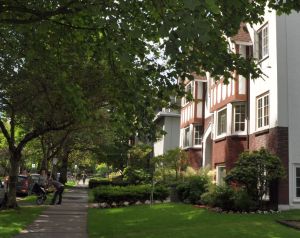 Haro Street 2 reduced