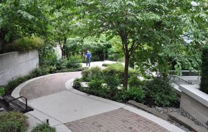 A City park, consisting of a wheelchair-accessible pathway among housing developments