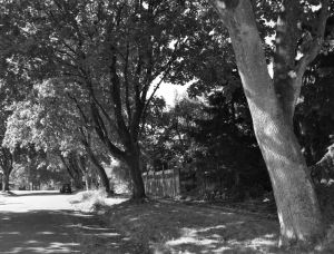 The NDP Shaughnessy -- Kamloops Street above the port