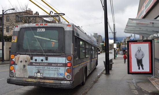 Broadway bus reduced