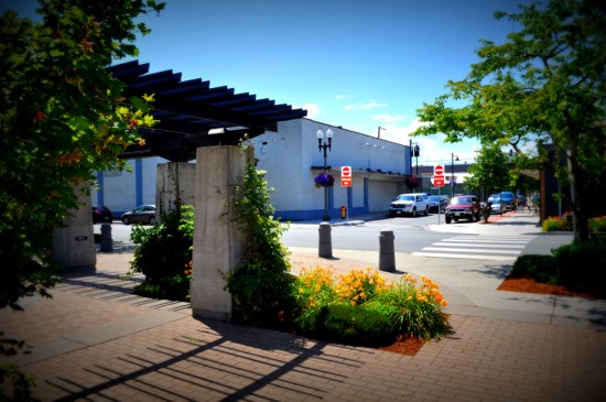 Looking out from the central park