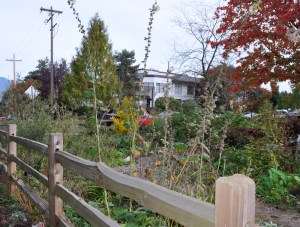 A community garden, part of a park built across the Prince Edward Street right-of-way