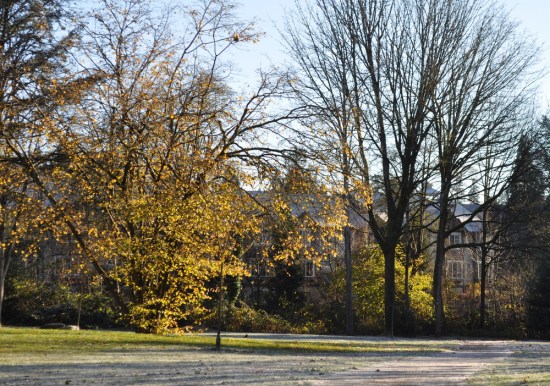 The east side of Cameron Park, just off the Walmart parking lot