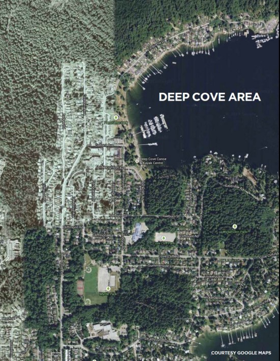 An aerial photo of Deep Cove from the municipal technical study. The commercial row is to the left of the marina.