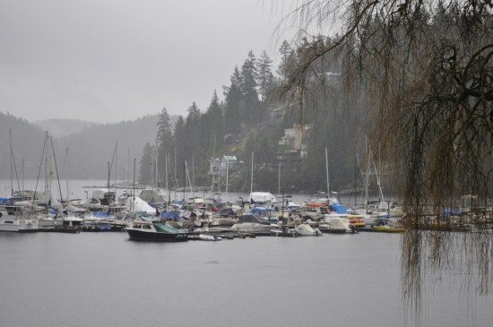 Deep Cove