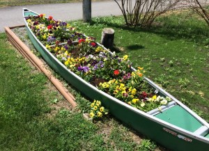Bateau des fleurs, Midway