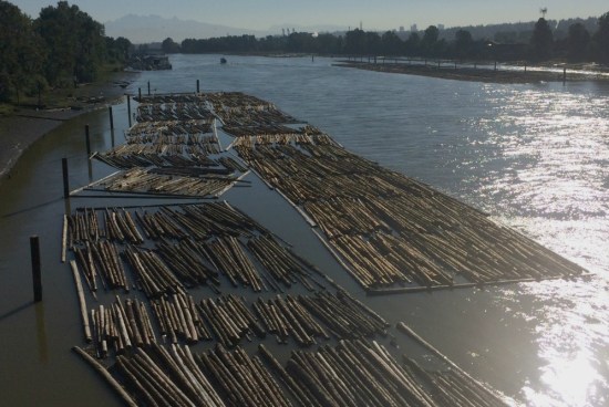 Fraser River, 8:30 a.m.