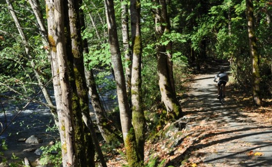 Along the Coquitlam River north of Lougheed Highway