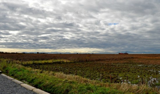 The end of the world -- looking west and south to Vancouver Island from the edge of Steveston