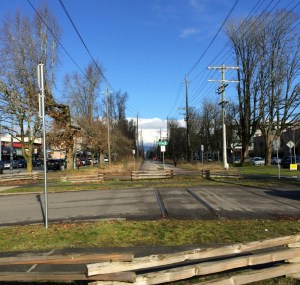 Fraseropolis Arbutus Greenway