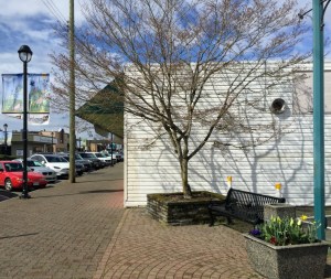 Fraseropolis downtown Langley Fraser Highway