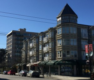 Fraseropolis Kerrisdale Balsam